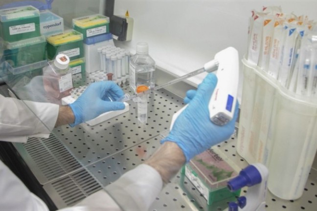 В ТГУ создадут «химерную молекулу», убивающую рак