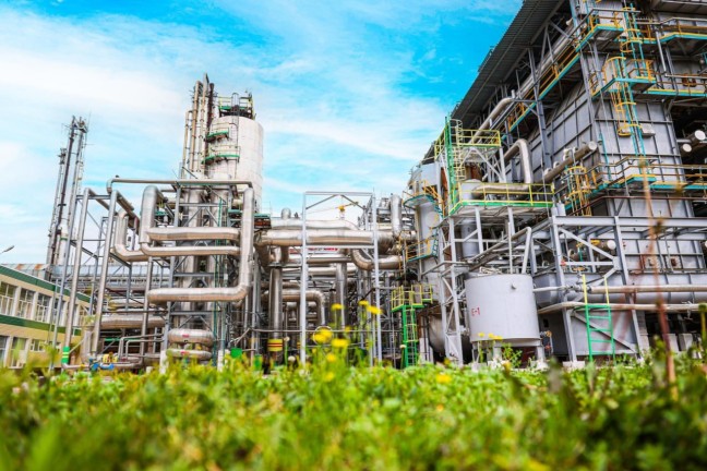 Помочь ТОАЗу за три недели