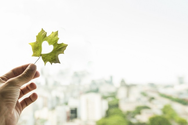 4,5 тысячи студентов проверили знания на олимпиаде ТГУ