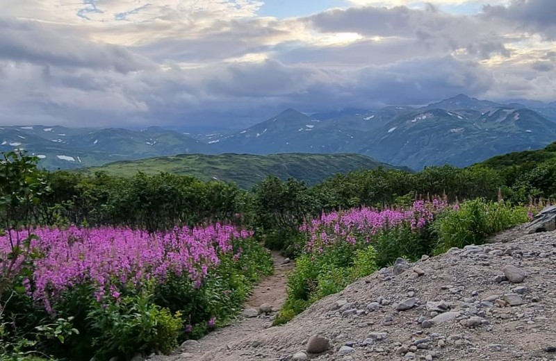 Север греет душу