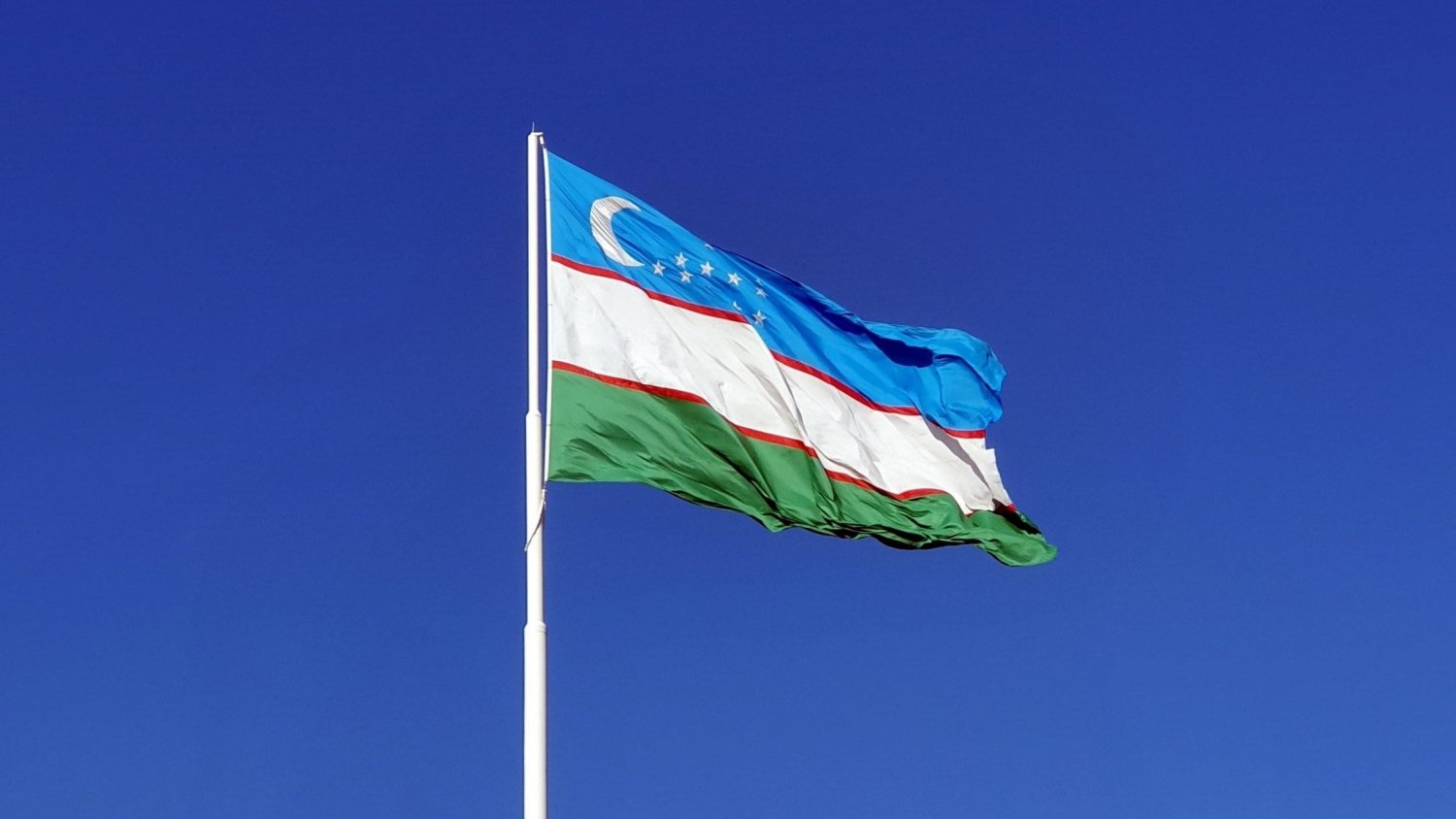 Вниманию студентов ТГУ – граждан Республики Узбекистан