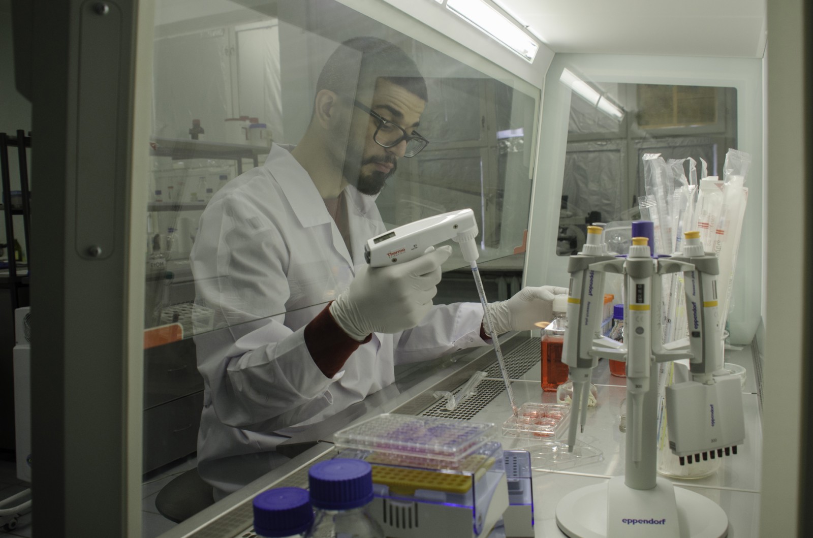 «Умная химера»: как исследователи превращают яд в лекарство