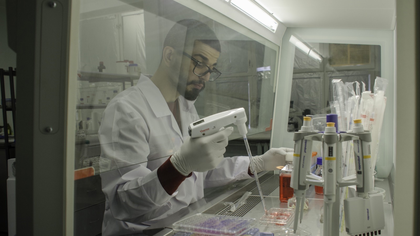 New Anticancer Compounds are Derived