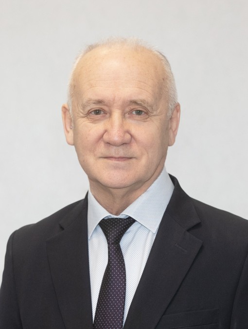 Мерсон Дмитрий Львович